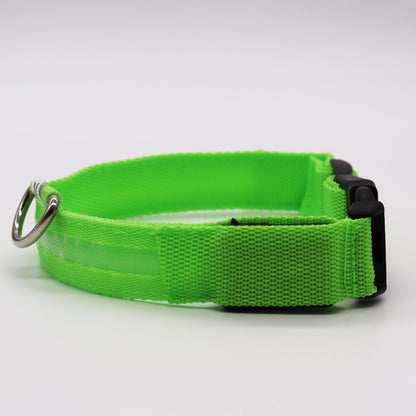 pet led collar