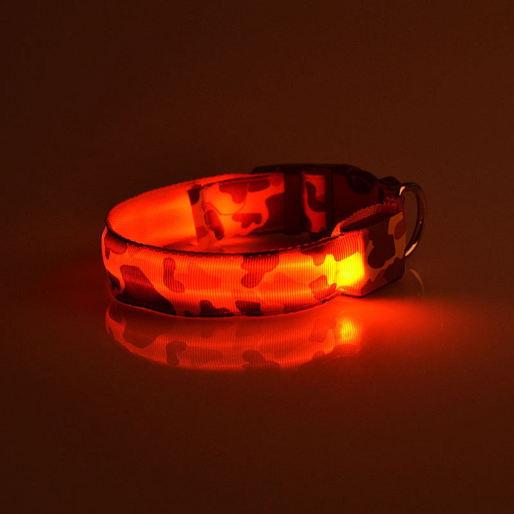 luminous dog collar - Pawlunexa