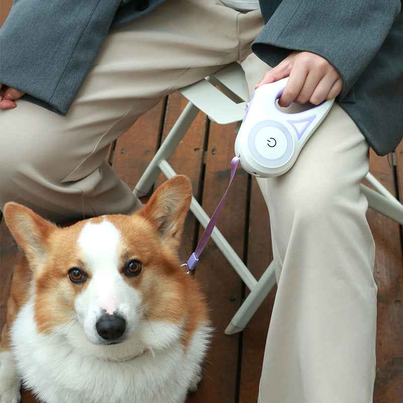 retractable dog leash with collar