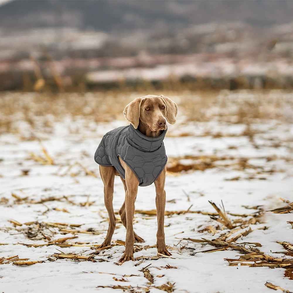 Thickened Winter Dog Clothing