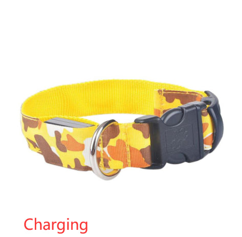 luminous dog collar - Pawlunexa