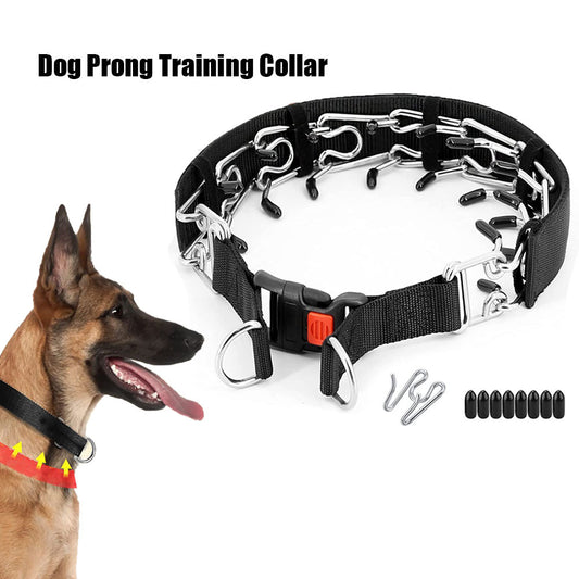 Dog Training Spike Collar - Pawlunexa