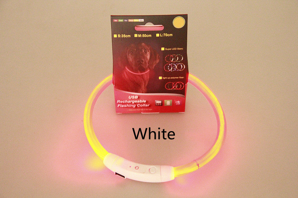 Flashing Safety Dog Collar - Pawlunexa