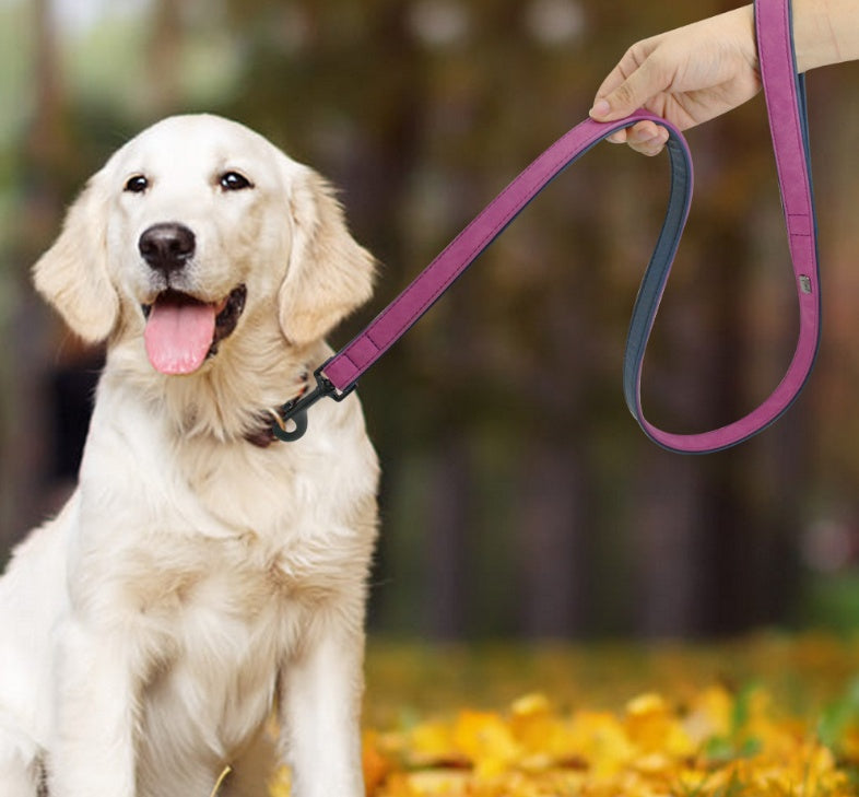 Durable Leather Dog Leash - Pawlunexa