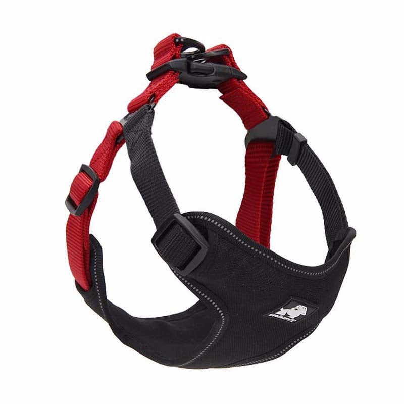 comfortable dog leash collar - Pawlunexa