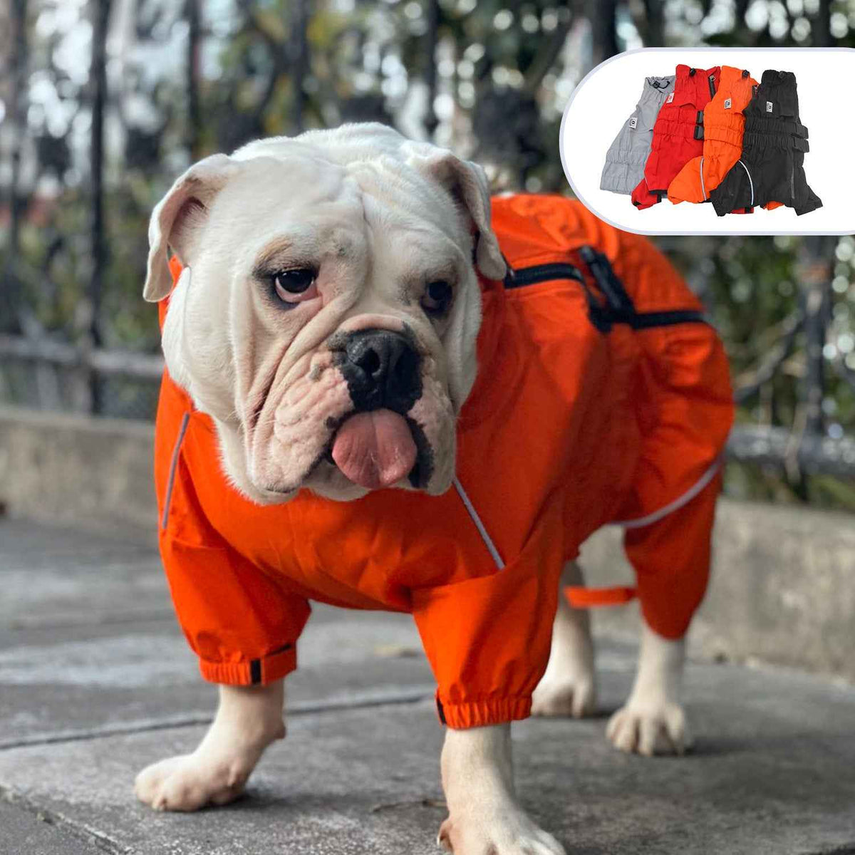 Pet dog raincoat for outdoor adventures
