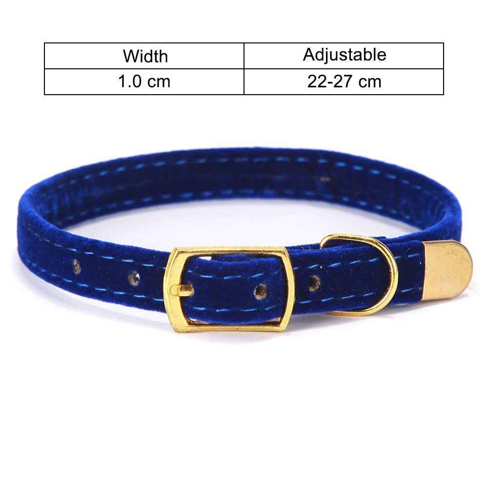 Stylish cat collar