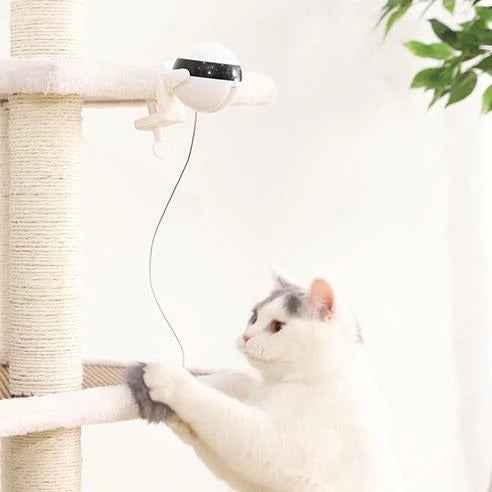 Interactive Motion Cat Toy
