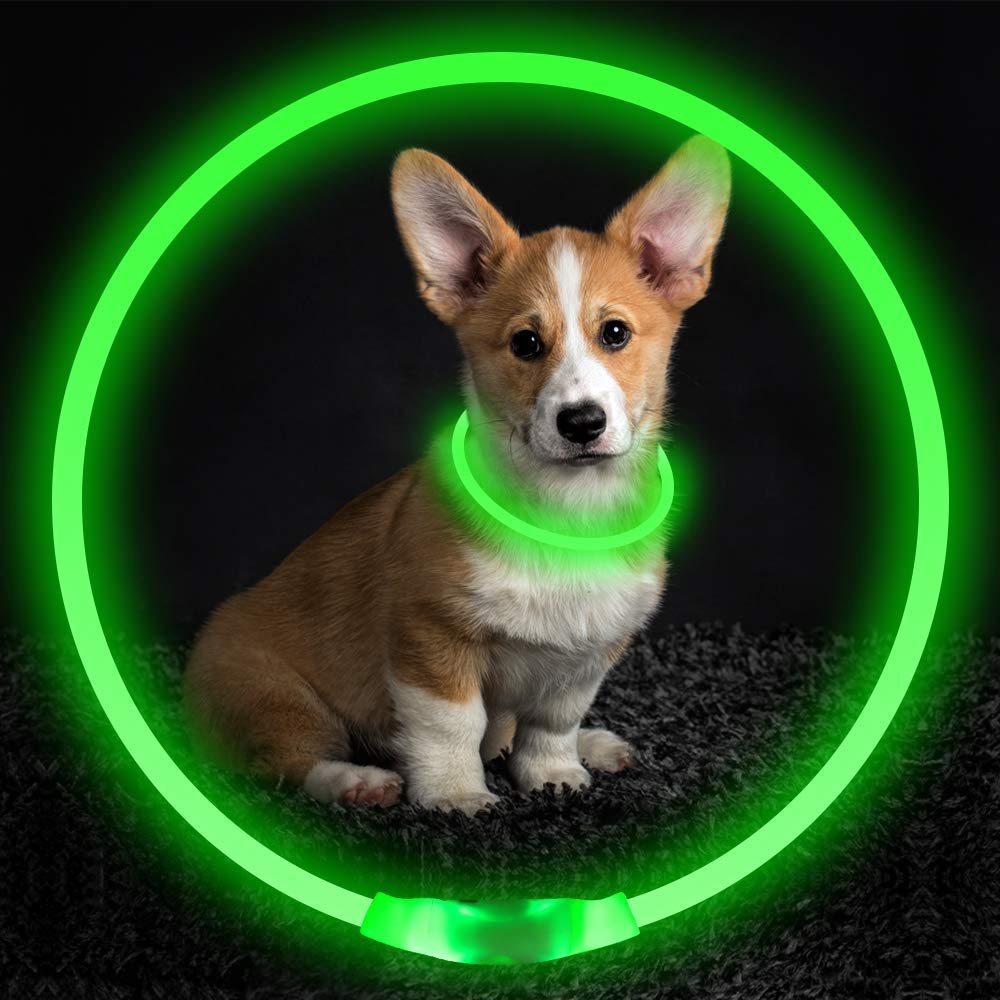 Flashing Safety Dog Collar - Pawlunexa