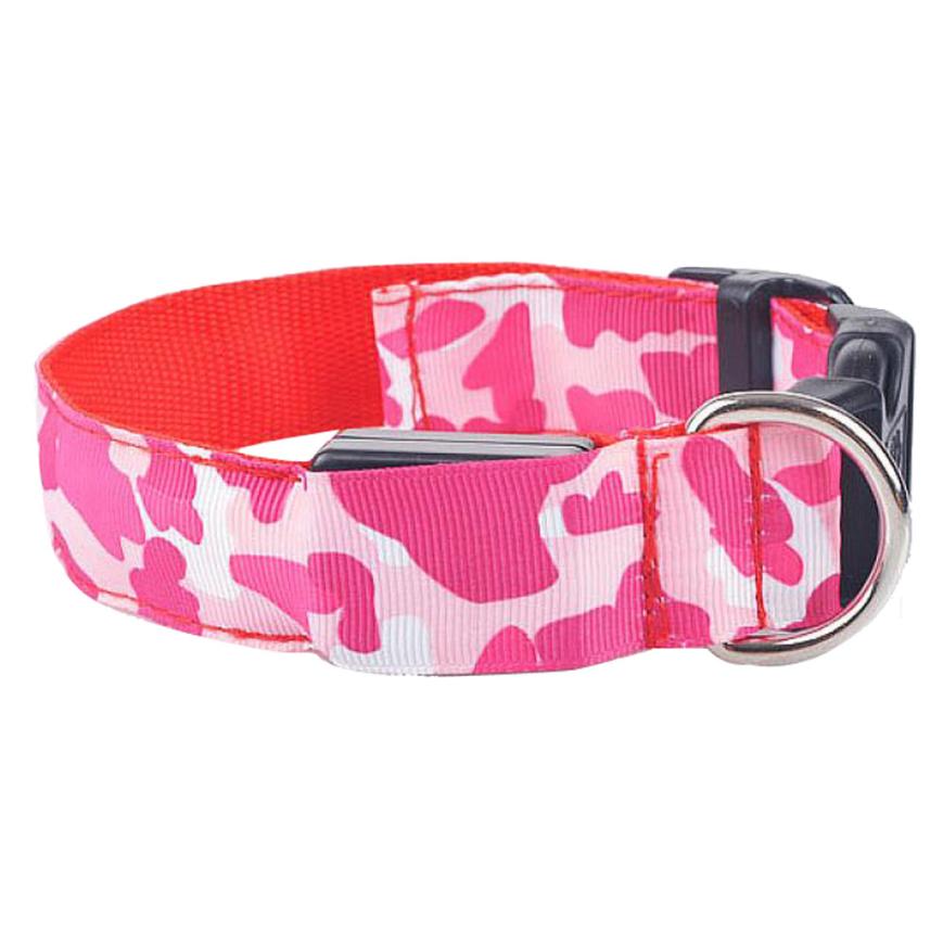 luminous dog collar - Pawlunexa
