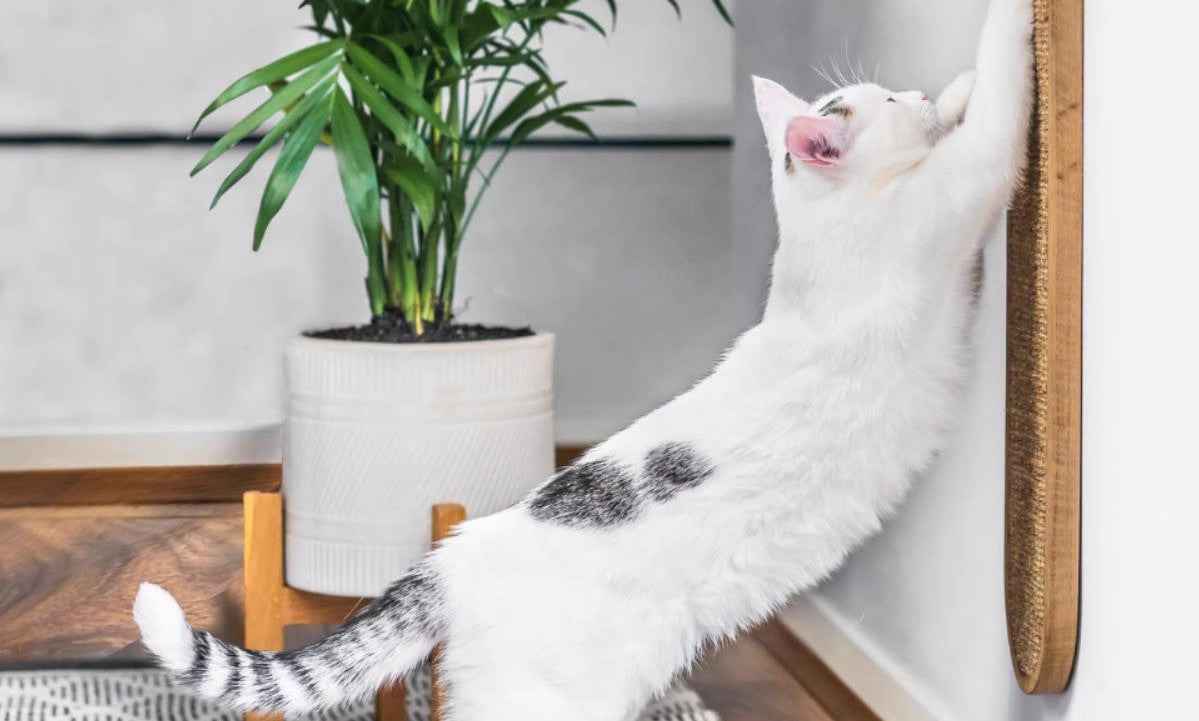 sisal hemp cat scratcher wall mat