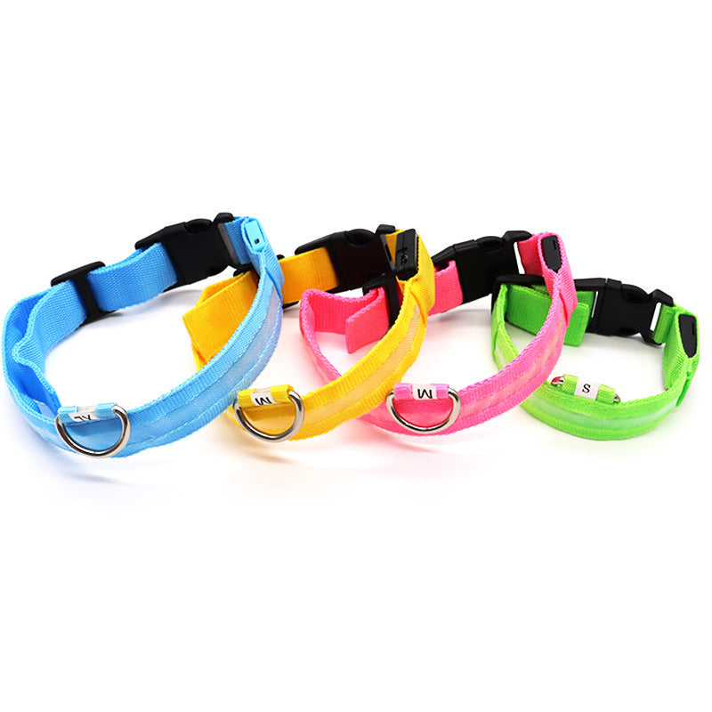 pet led collar
