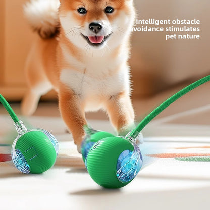 Automatic Electric Dog Toy Ball