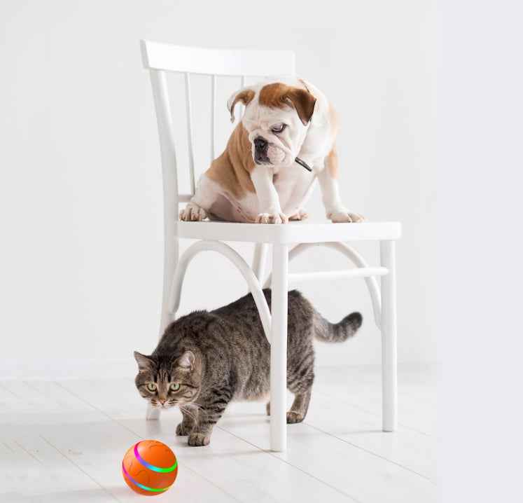 Intelligent Cat Toy Ball