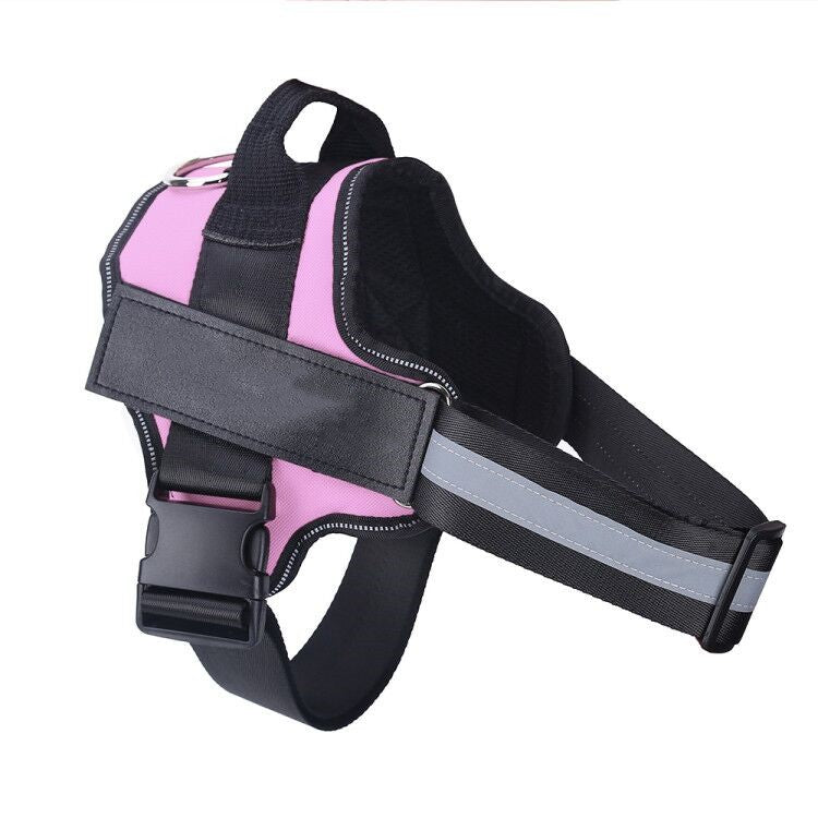 Personalized No Pull Dog Harness - Pawlunexa