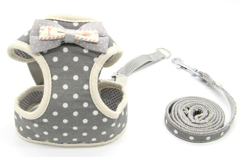 Cat and Dog Walking Traction Rope - Pawlunexa