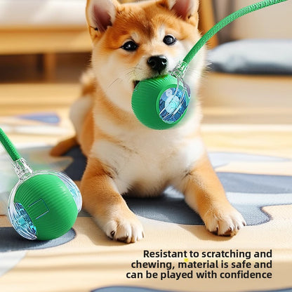 Automatic Electric Dog Toy Ball