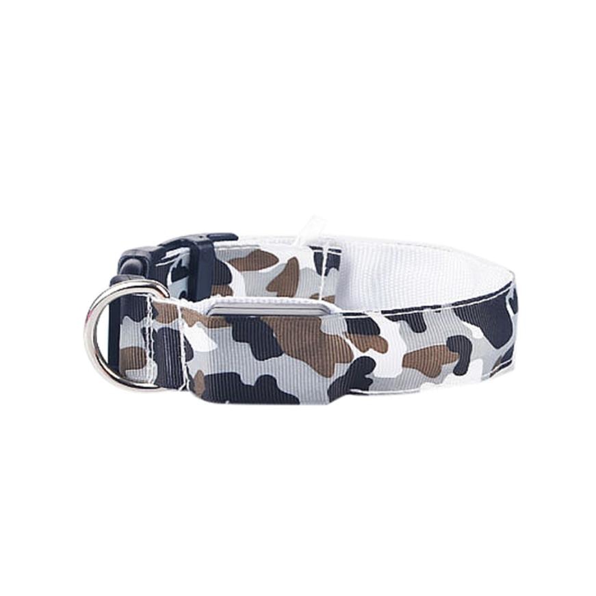 luminous dog collar - Pawlunexa