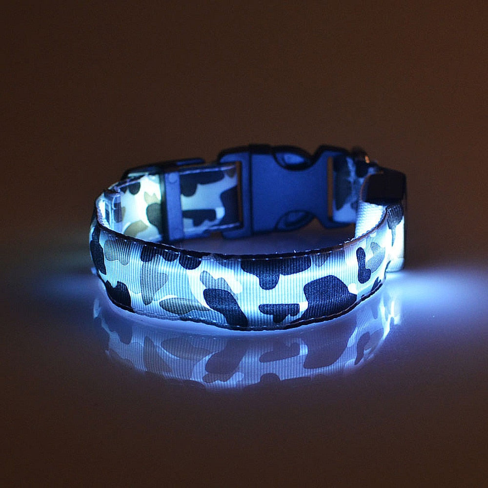 luminous dog collar - Pawlunexa