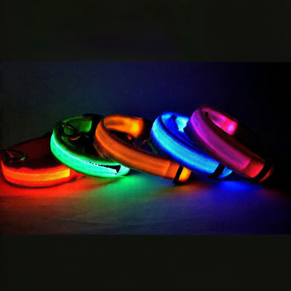 pet led collar