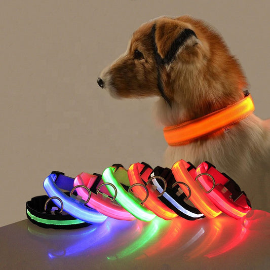 LED Pet Dog Collar Night Safety