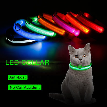 LED Pet Dog Collar Night Safety