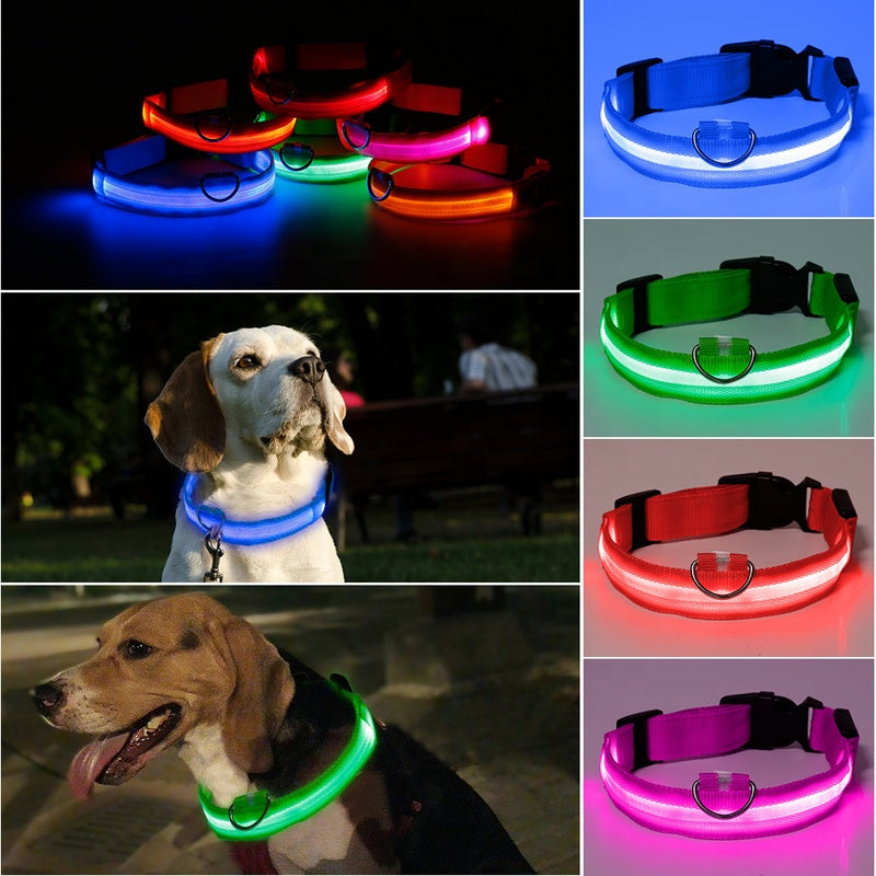 LED Pet Dog Collar Night Safety