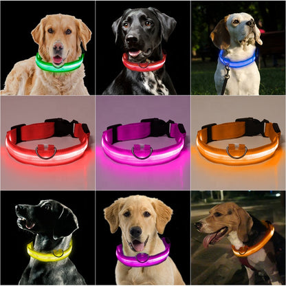 LED Pet Dog Collar Night Safety