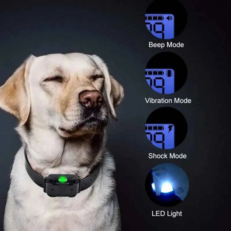 Waterproof Electric Dog Training Collar - Transform Your Dog's Behavior