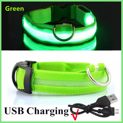 USB Rechargeable Led Glowing Dog Collar