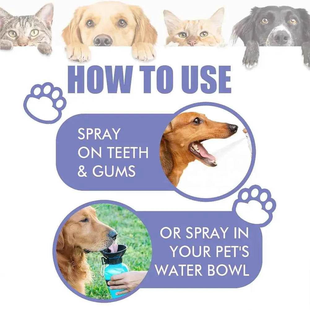 Pet Dental Spray for Fresh Breath – Eliminate Plaque and Tartar Build-Up