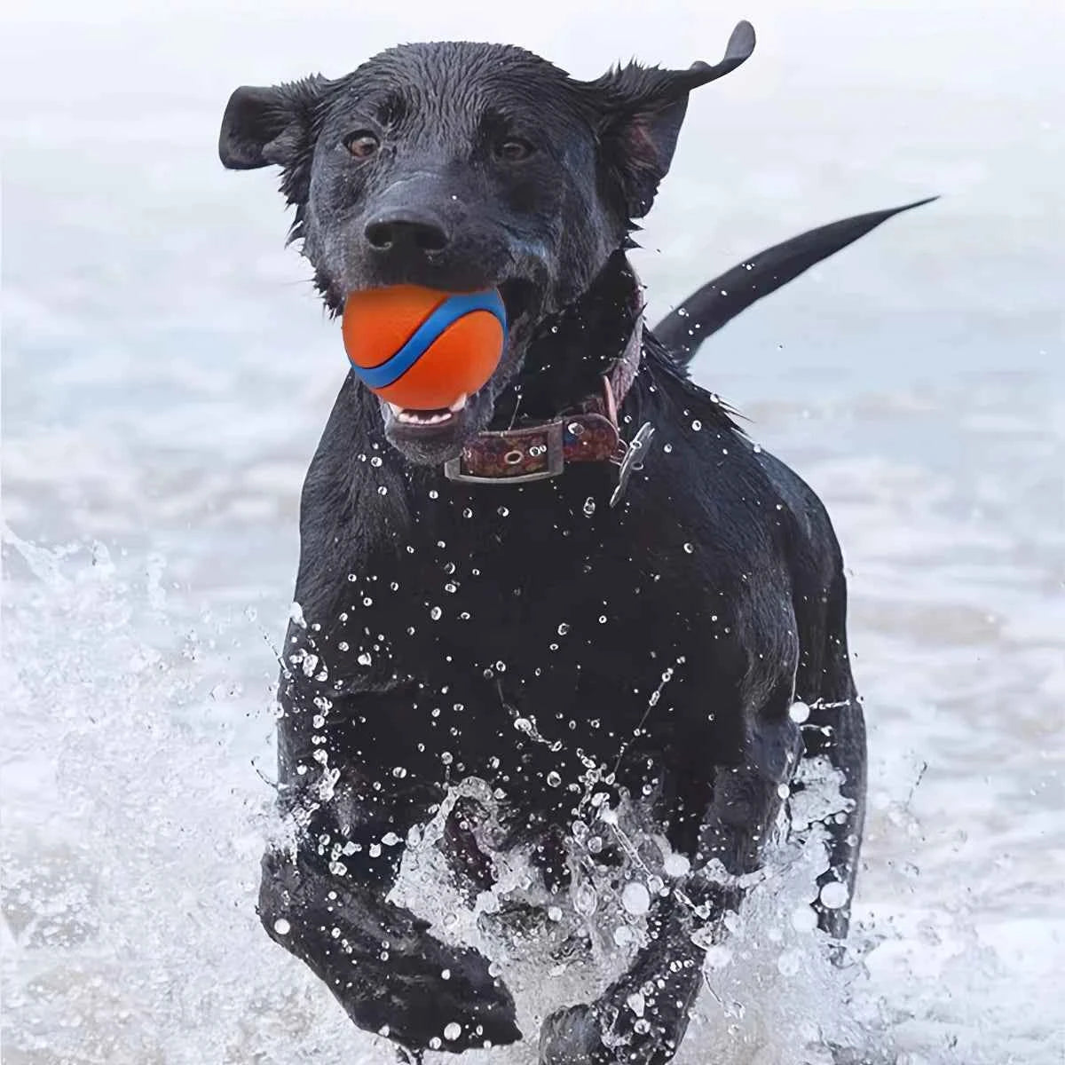 Interactive Durable Silicone Dog Chew Ball - Perfect Pet Toy for Medium Breeds
