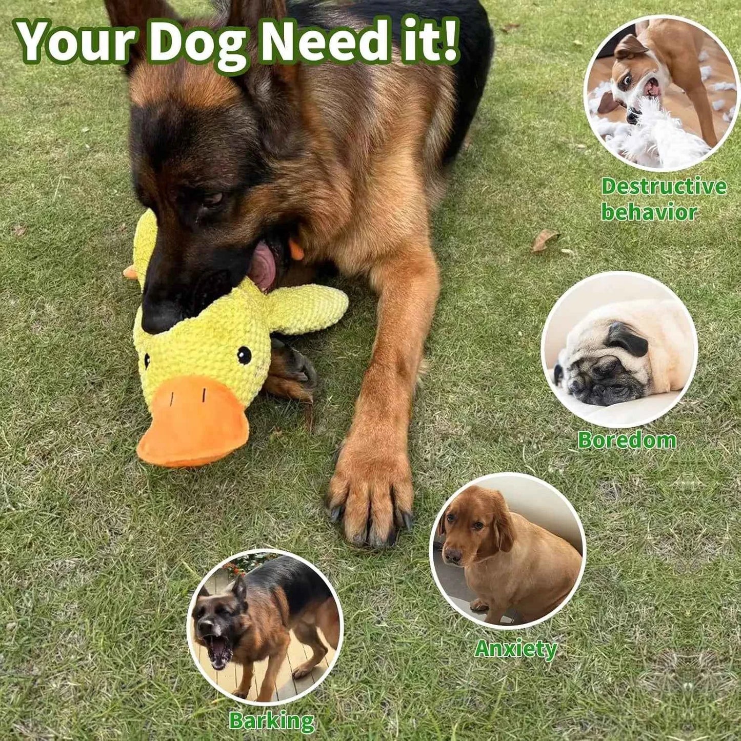 Durable Plush Duck Dog Toy – Quacking Fun for All Dogs