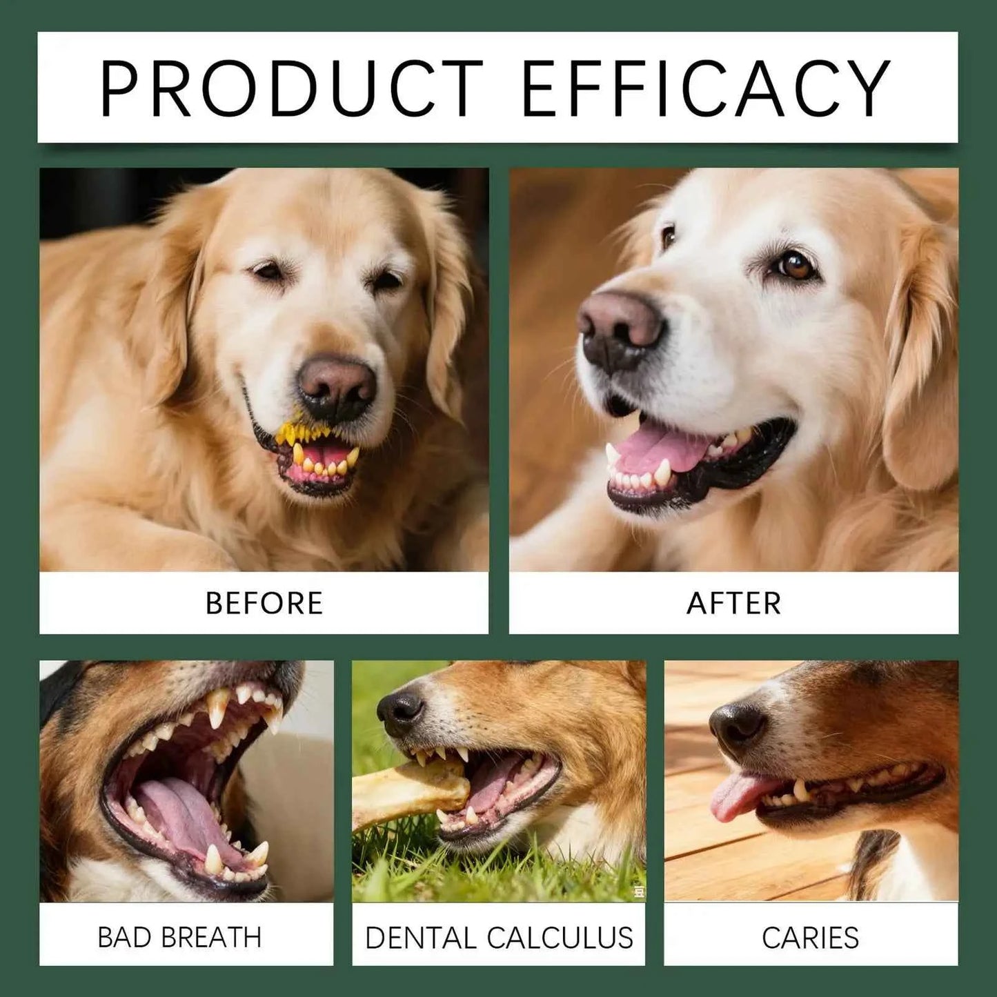 Revolutionize Your Dog's Dental Health with Our Premium Dog Dental Care Powder