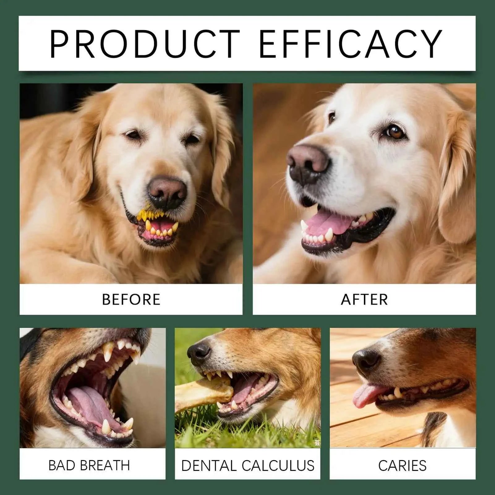 Revolutionize Your Dog's Dental Health with Our Premium Dog Dental Care Powder