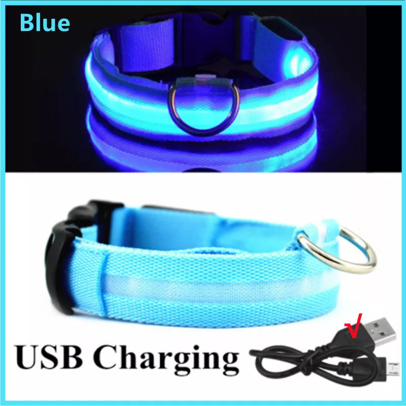 USB Rechargeable Led Glowing Dog Collar