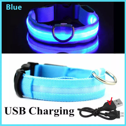 USB Rechargeable Led Glowing Dog Collar