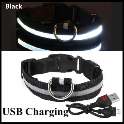 USB Rechargeable Led Glowing Dog Collar