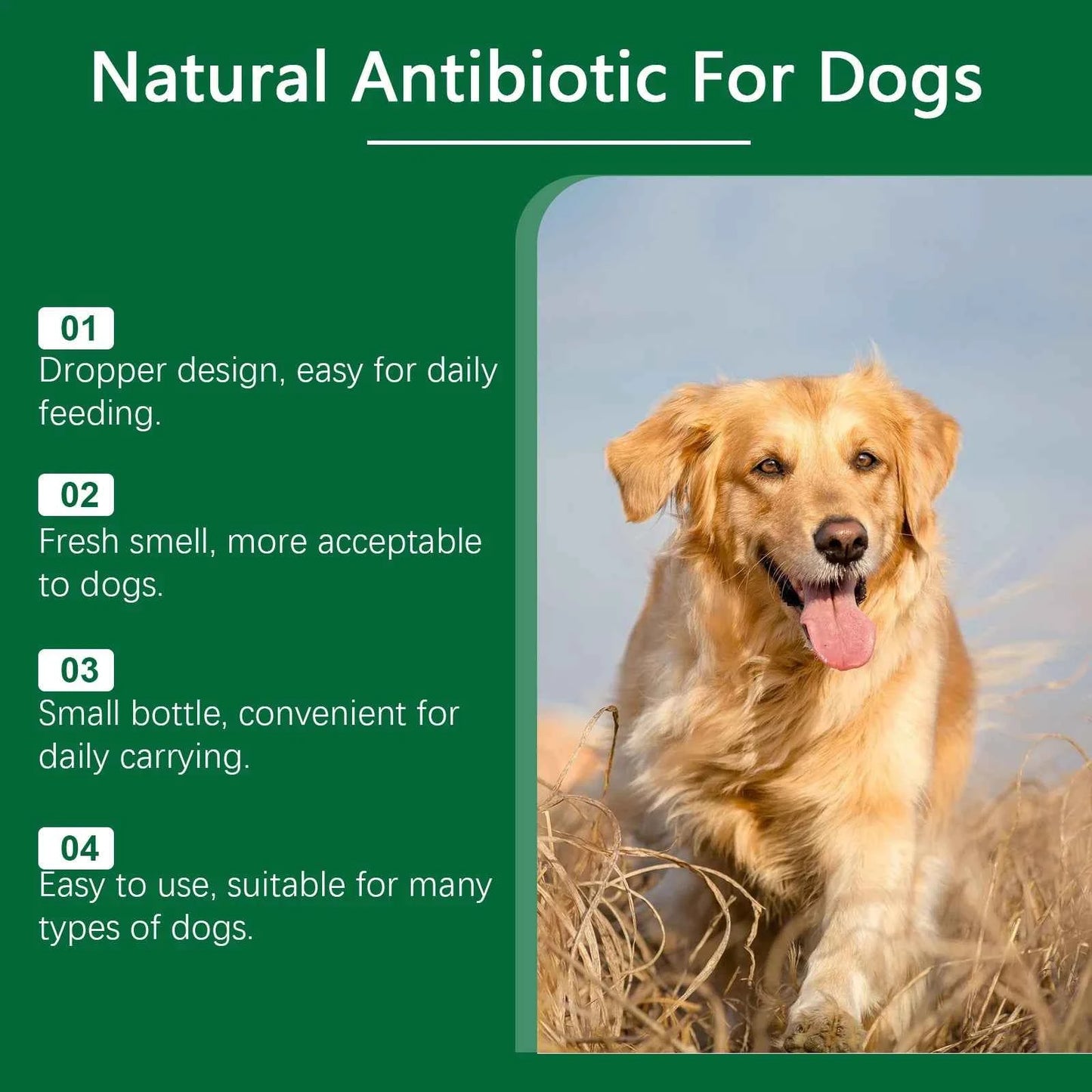 Immune-Boosting Multivitamin for Dogs - Daily Vitality & Skin Comfort in a Gentle 60ml Formula