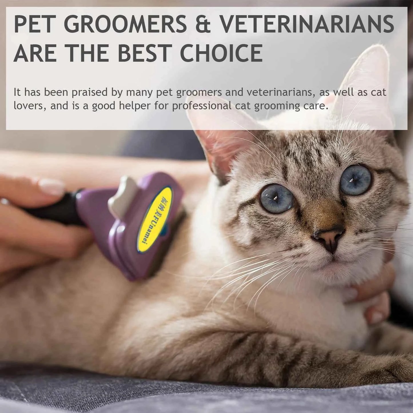 Essential Dog Grooming Brush for Hassle-Free Pet Care