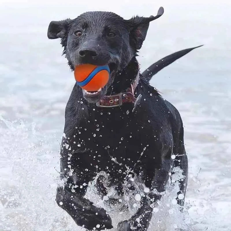 Tough Dog Fetch Ball Toy - Durable, Fun, and Perfect for All Breeds