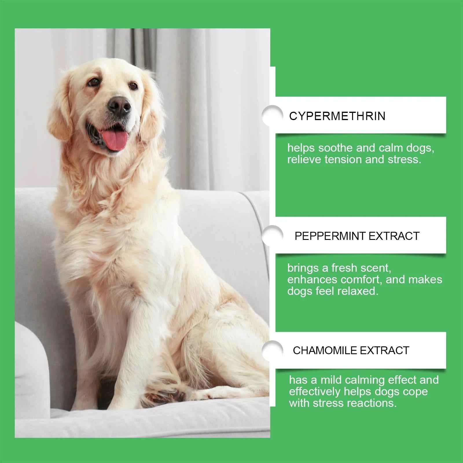 Calm Your Pup with the Dog Emotion Diffuser for Anxiety Relief