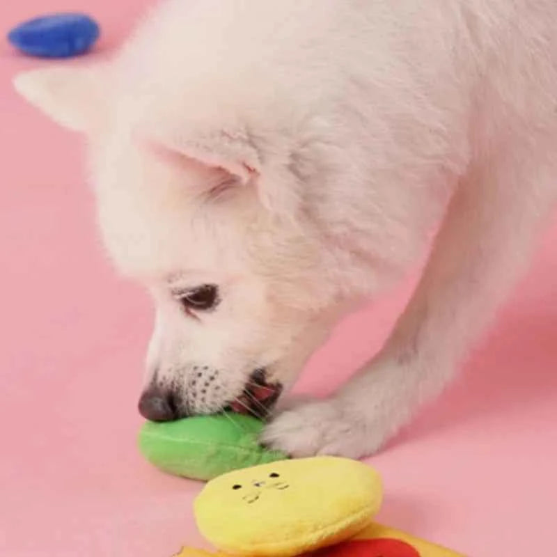 Engaging Dog Foraging Toys for Training & Stress Relief