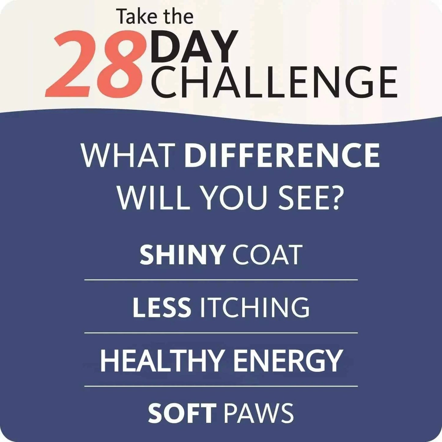 Nourish Your Pets with 200ml Salmon Fish Oil for Pets – Packed with 21 Omega Fatty Acids