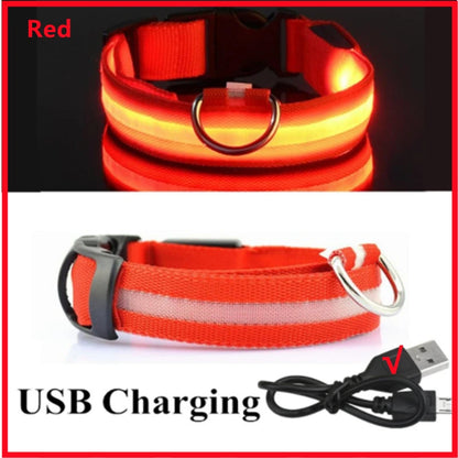 USB Rechargeable Led Glowing Dog Collar