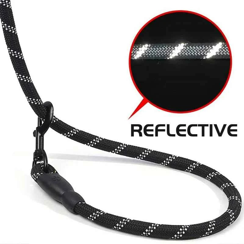 Reflective Dog Leash: Your Ultimate Safety Companion for Evening Walks