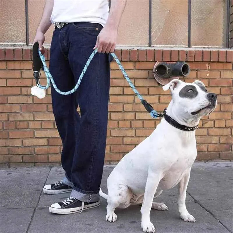 Reflective Dog Leash: Your Ultimate Safety Companion for Evening Walks