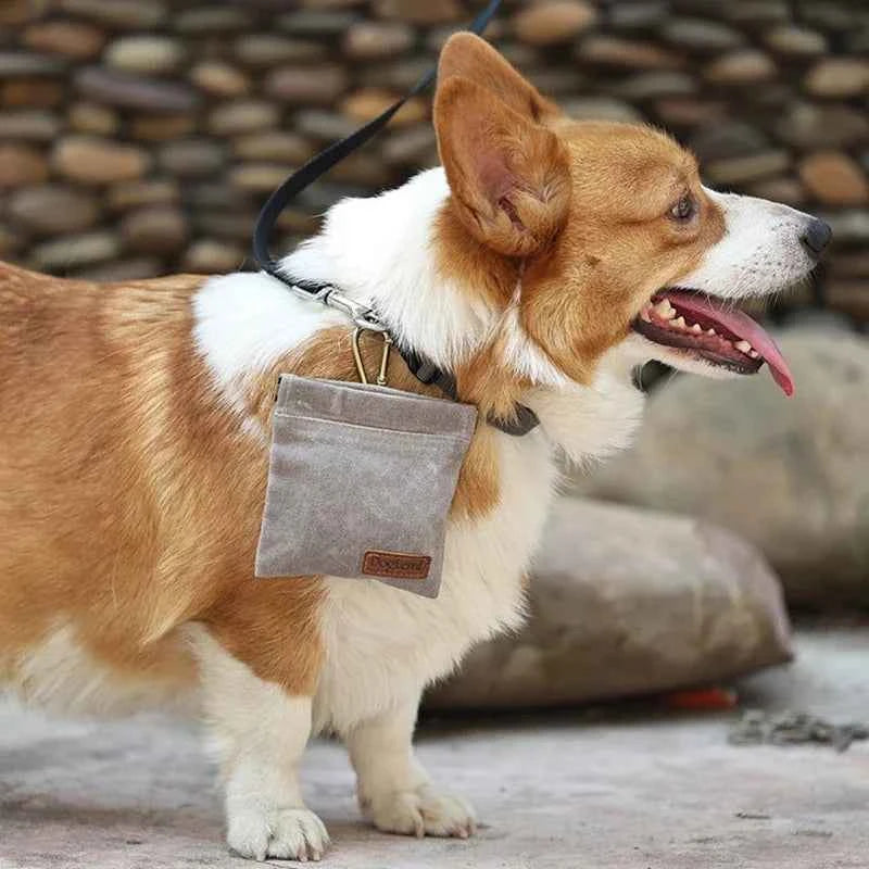 Essential Dog Treat Pouch: Your Portable Companion for Effective Dog Training