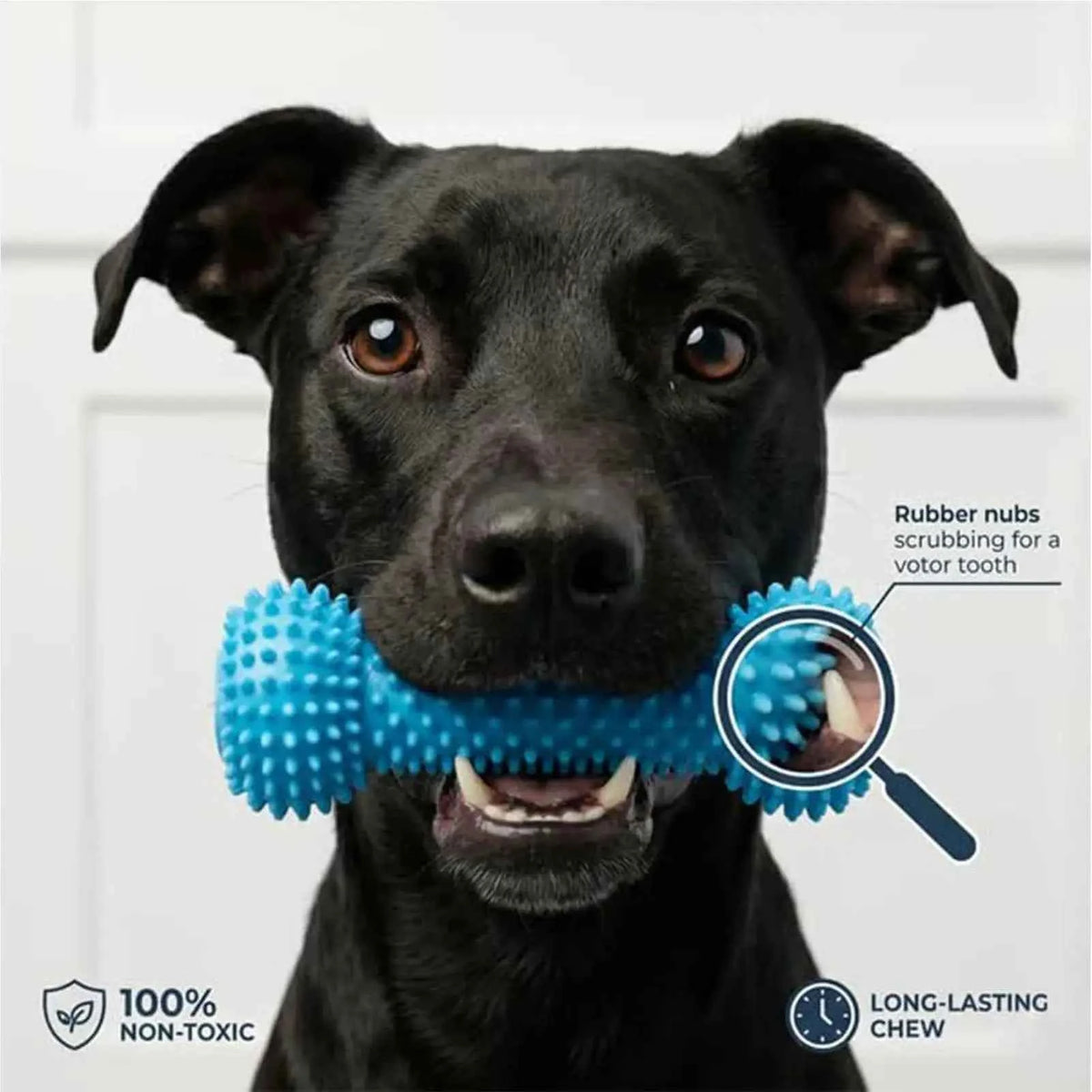 Dog Chew Toy for Teeth Cleaning: Double-Action Rubber Chewer for Happy, Healthy Smiles