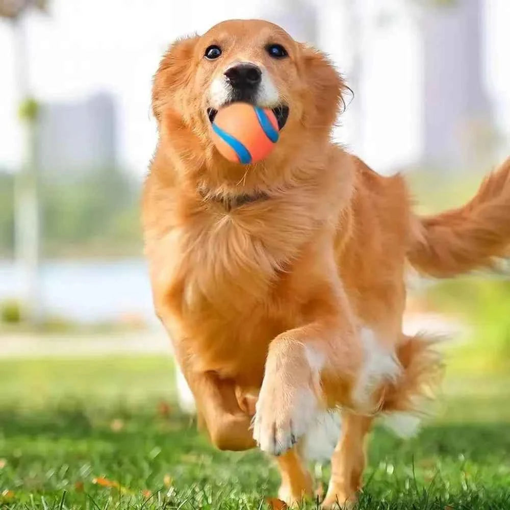 Tough Dog Fetch Ball Toy - Durable, Fun, and Perfect for All Breeds